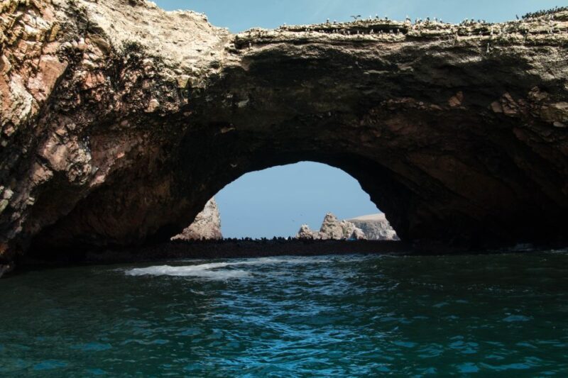 From Paracas: Ballestas Islands tour all Inclusive - Why This Tour Offers Great Value