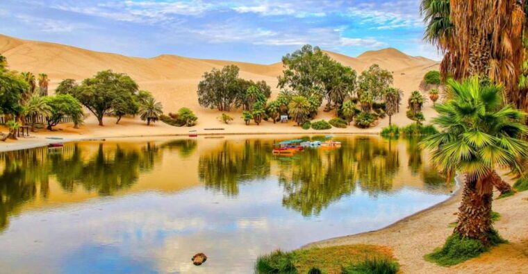 from-paracas-excursion-to-ica-and-huacachina