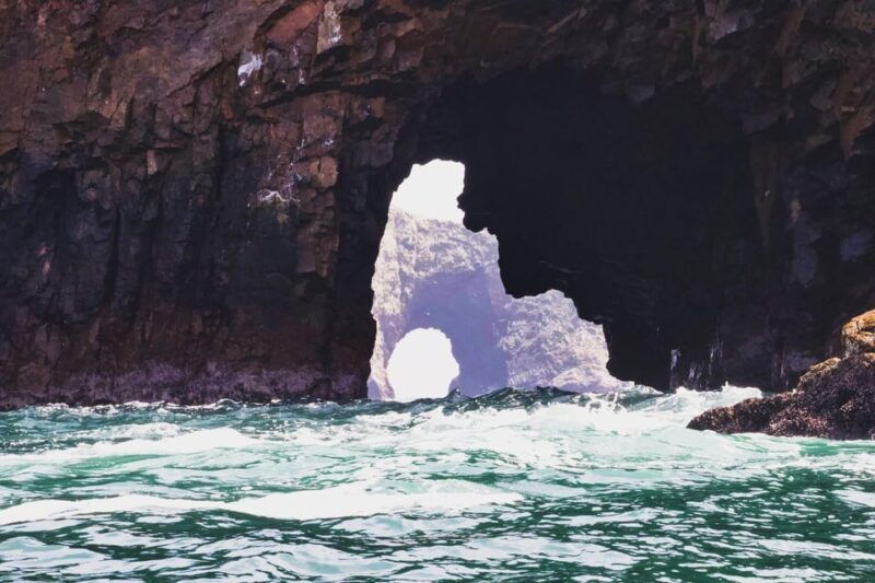 from-paracas-guided-boat-tour-of-the-ballestas-islands-2