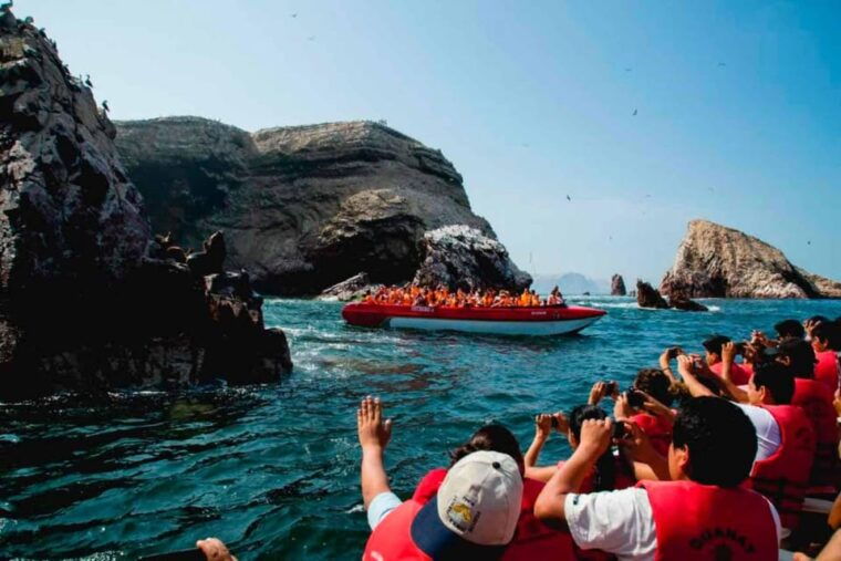 from-paracas-guided-boat-tour-of-the-ballestas-islands-2