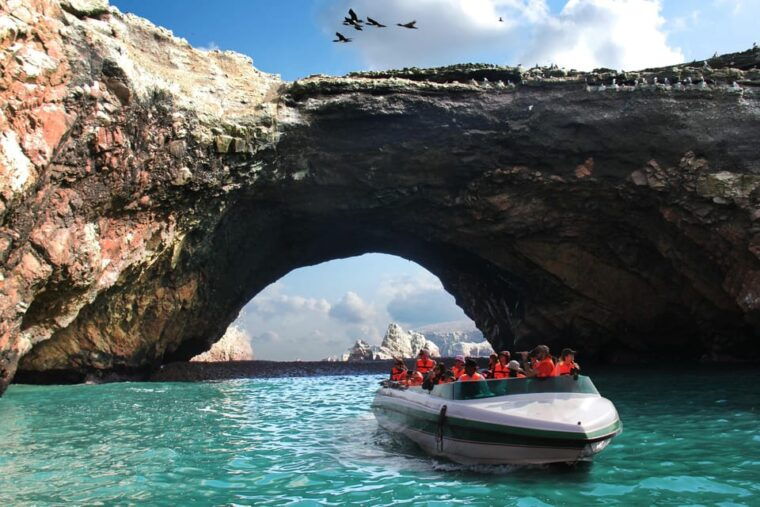 from-paracas-guided-boat-tour-of-the-ballestas-islands-2