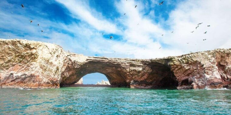 from-paracas-guided-boat-tour-of-the-ballestas-islands-2