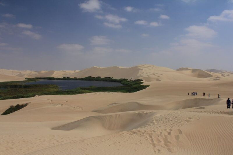 from-paracas-mini-buggy-tour-sandboarding-at-oasis