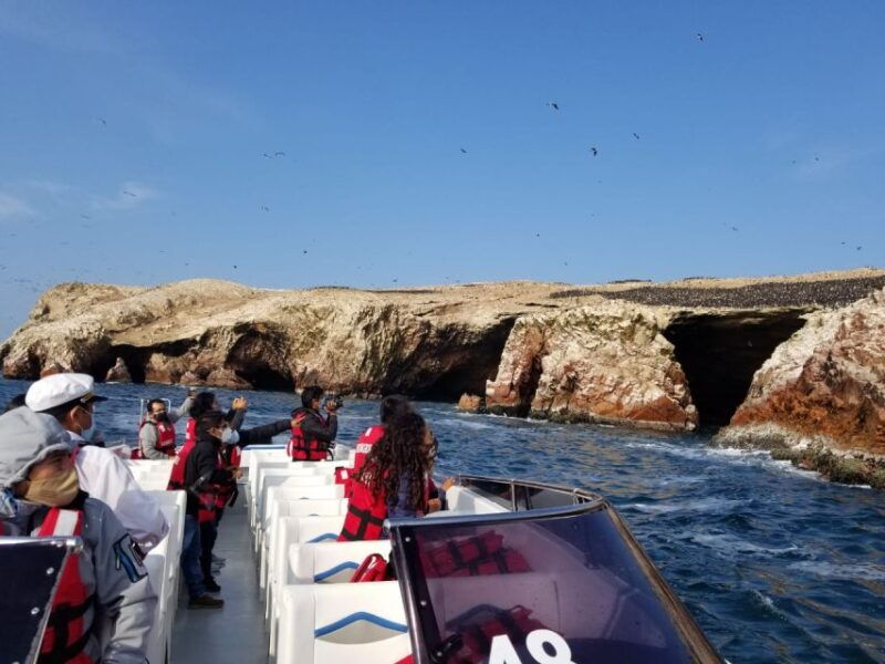 from-paracas-or-pisco-ballestas-islands-private-boat-trip
