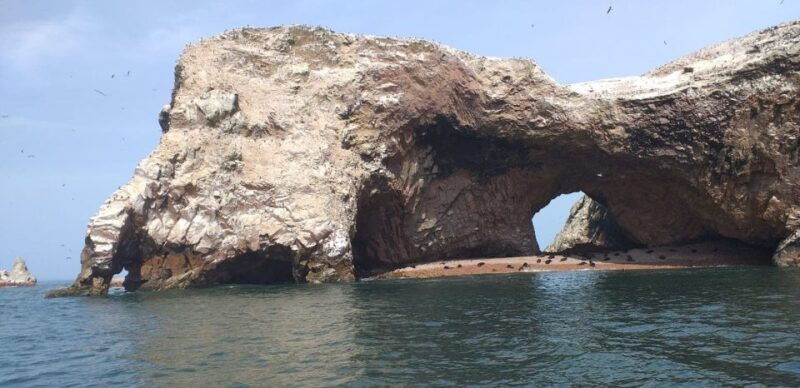 from-paracas-or-pisco-ballestas-islands-private-boat-trip