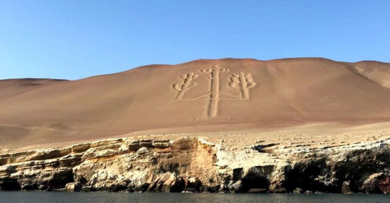 from-paracas-or-pisco-ballestas-islands-private-boat-trip
