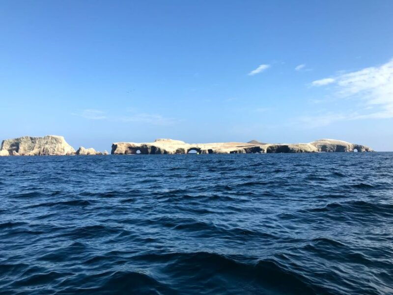from-paracas-or-pisco-ballestas-islands-private-boat-trip