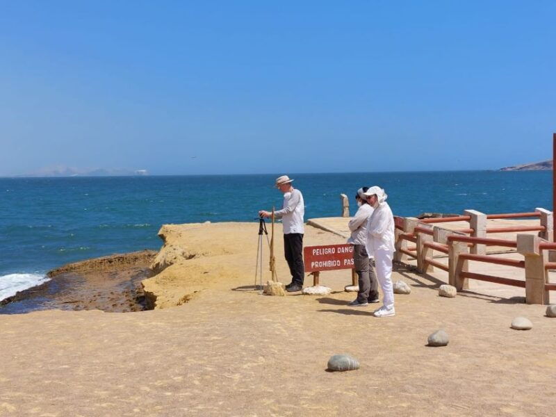 from-paracas-paracas-national-reserve-private-tour