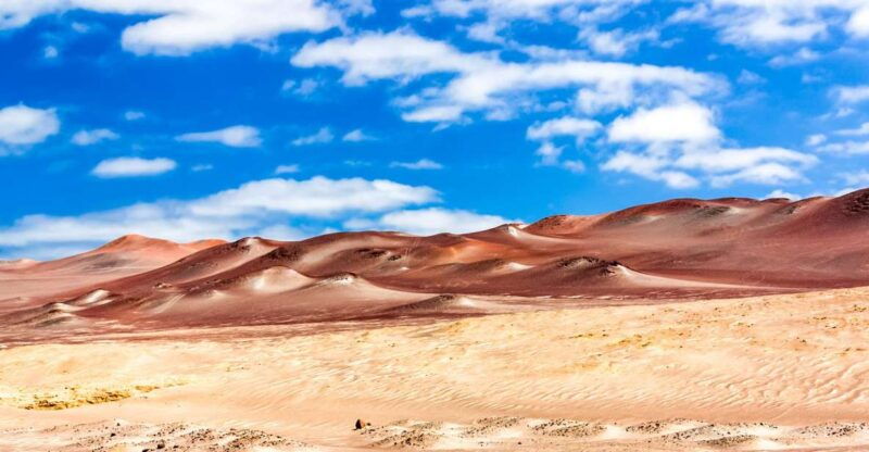 from-paracas-paracas-national-reserve-private-tour