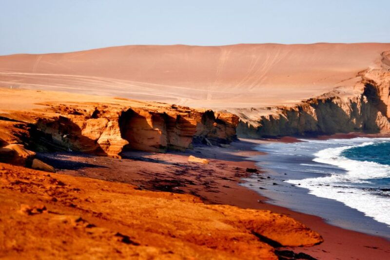 from-paracas-paracas-national-reserve-private-tour