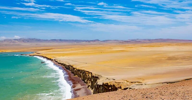 from-paracas-paracas-national-reserve-tours
