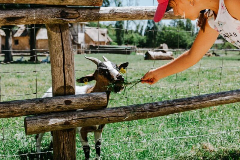 from-paris-bike-tour-to-versailles-with-timed-palace-entry