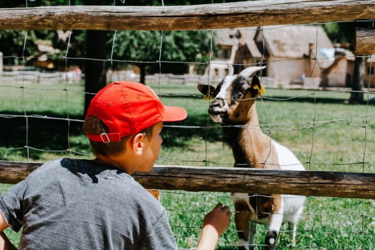 from-paris-bike-tour-to-versailles-with-timed-palace-entry