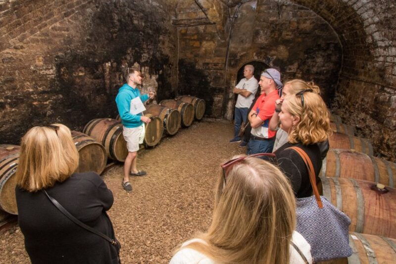 from-paris-burgundy-region-winery-tour-with-tastings