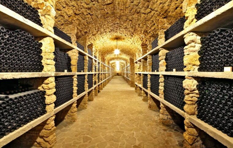 from-paris-burgundy-region-winery-tour-with-tastings
