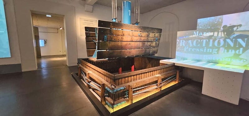 From Paris: Champagne Cellars and Vineyards Tour and Tasting - What Makes This Tour Special?