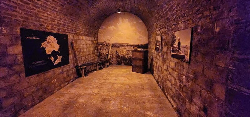 From Paris: Champagne Cellars and Vineyards Tour and Tasting - Price and Value