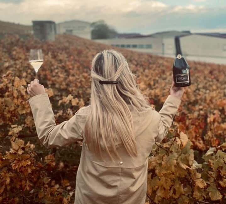 From Paris: Champagne Day Trip with 7 Tastings and Lunch - Practical Tips for Participants