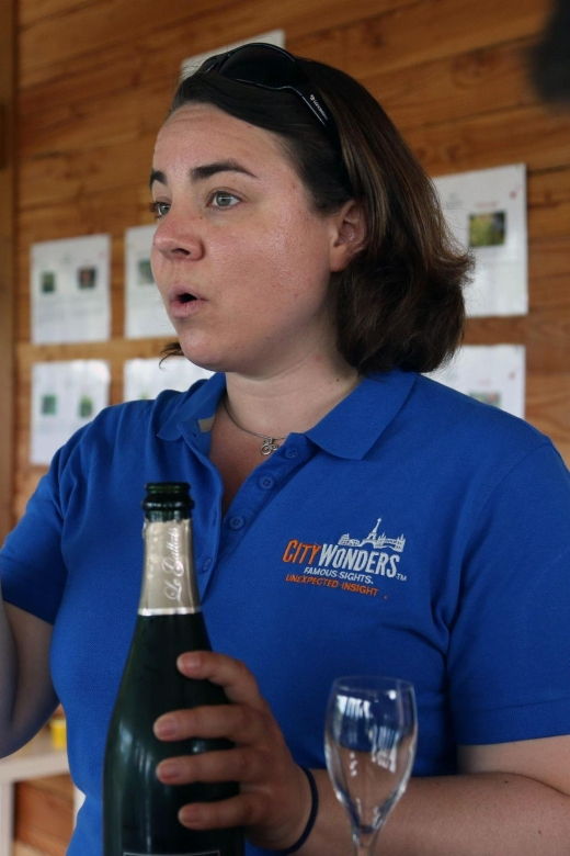 from-paris-champagne-day-trip-with-7-tastings-and-lunch