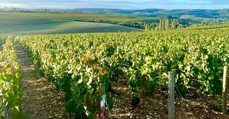 from-paris-champagne-gastronomy-and-culture