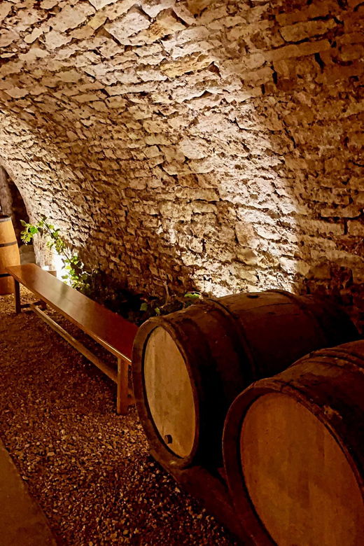 from-paris-champagne-gastronomy-and-culture