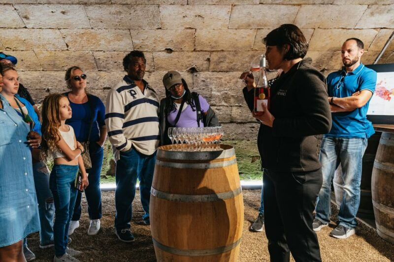 from-paris-loire-valley-castles-day-trip-with-wine-tasting