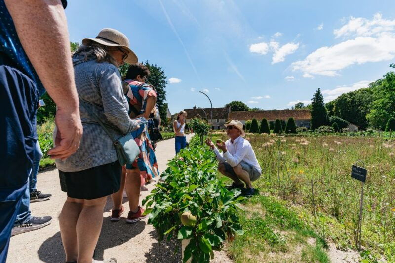 from-paris-loire-valley-castles-day-trip-with-wine-tasting