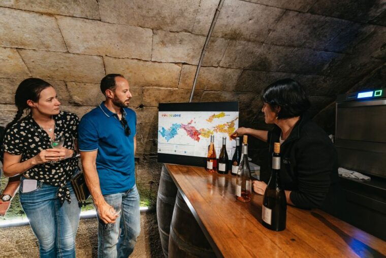 from-paris-loire-valley-castles-day-trip-with-wine-tasting