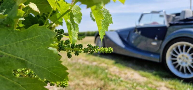 from-paris-prestige-champagne-tour-and-tastings