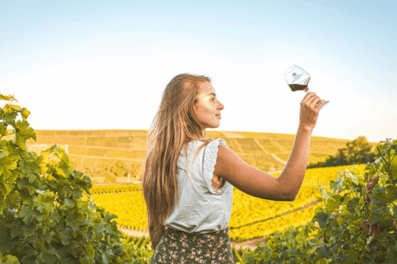 from-paris-private-sancerre-wine-tour-w-10-tastings-lunch