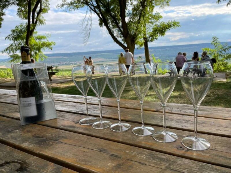 from-paris-reims-and-champagne-tasting-full-day-tour