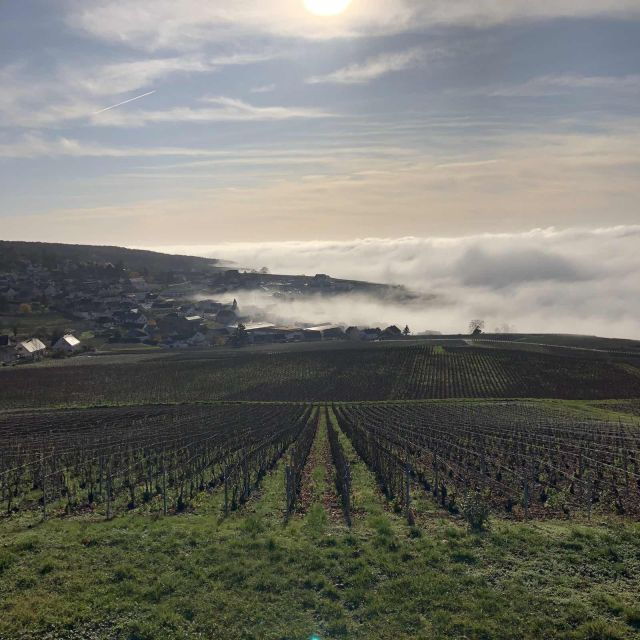 from-paris-reims-and-champagne-tasting-full-day-tour