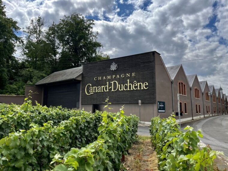 from-paris-reims-and-champagne-tasting-full-day-tour