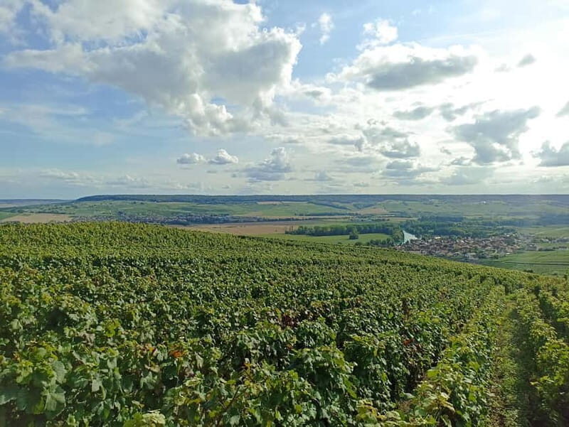 From Paris: Reims Cathedral, Champagne Cellar, and Tasting - An In-Depth Look at the Tour