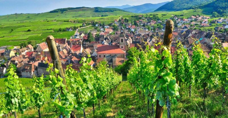 from-paris-small-group-champagne-day-trip-with-six-tastings