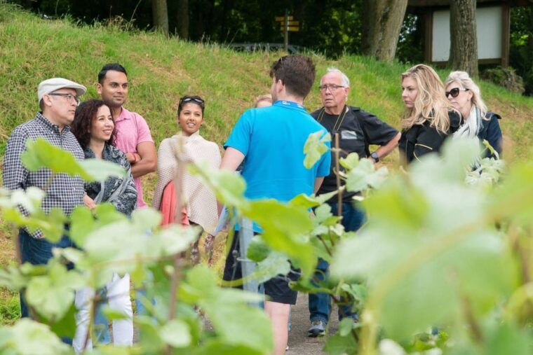 from-paris-small-group-champagne-day-trip-with-six-tastings