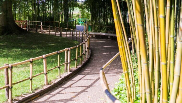 from-paris-versailles-and-giverny-full-day-trip