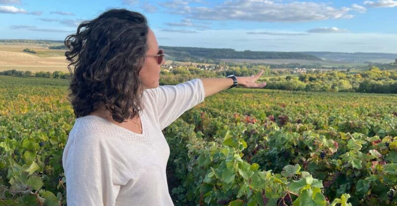 from-paris-wine-day-trip-to-sancerre-w-10-tastings-lunch