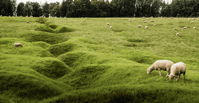 from-paris-wwi-somme-battlefields-with-licensed-guide