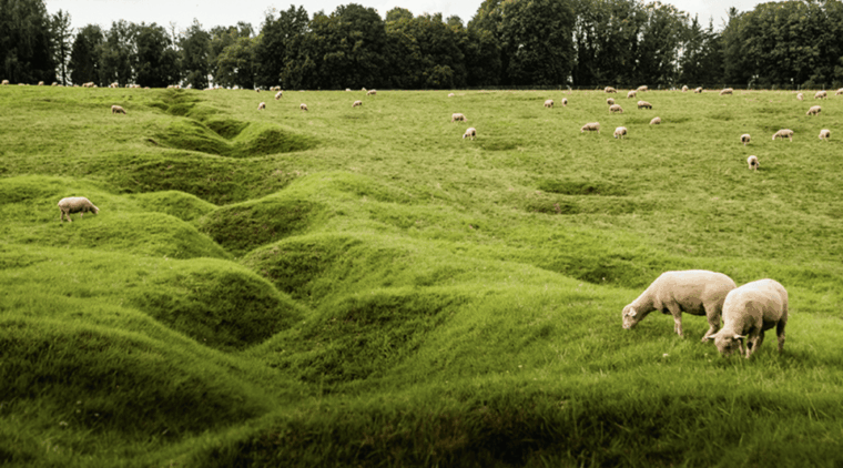 from-paris-wwi-somme-battlefields-with-licensed-guide