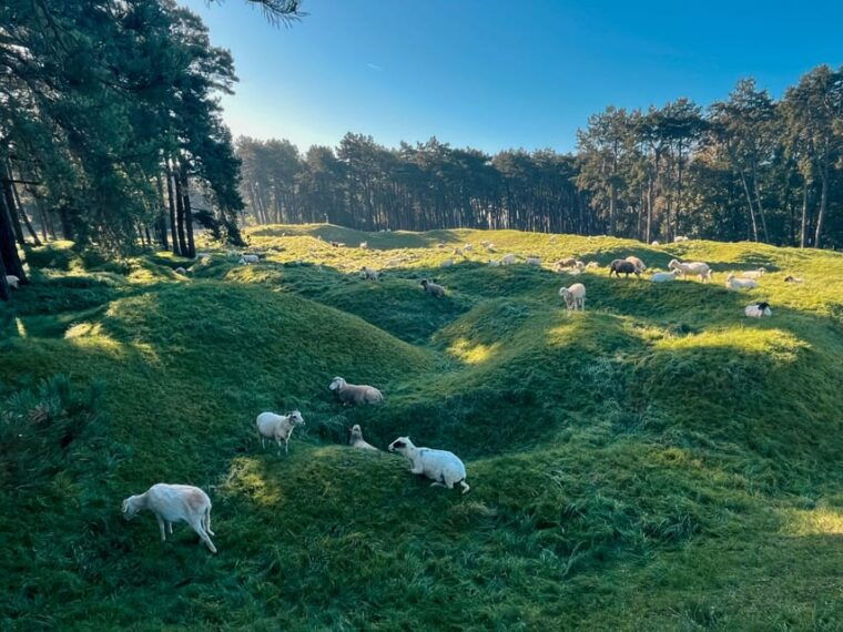 from-paris-wwi-vimy-battlefields-private-tour