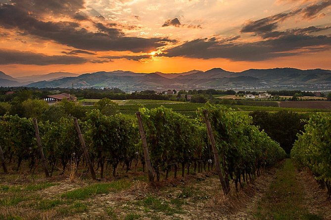 from-parma-parmigianoprosciutto-and-winery-tour-and-tasting