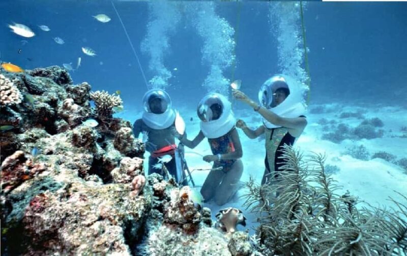 From Pattaya: Koh Larn Full-day Tour with Water Activities - The Sum Up