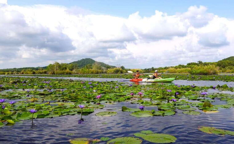 from-pattaya-private-rayong-adventure-hike-and-kayak-trip