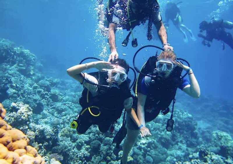 From Pattaya: Snorkeling or Beginner Scuba Diving Tour - Final Thoughts: Who Should Consider This Tour?