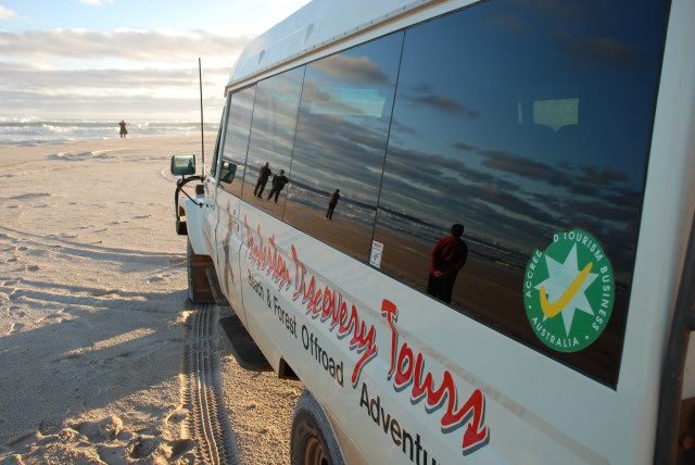 From Pemberton: Half-Day Beach and Forest Eco Adventure - Who Will Love This Tour?