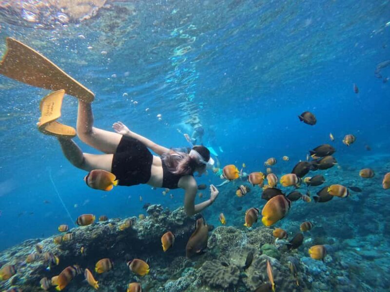 From Penida: Snorkeling with Lembongan Tour & Buffet Lunch - What Sets This Tour Apart?