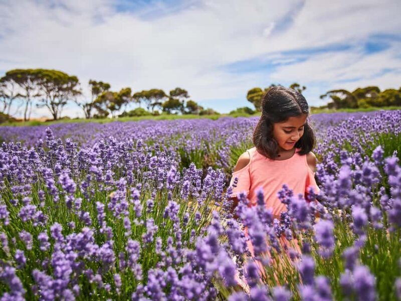From Penneshaw - A Tasting Of Kangaroo Island - Transportation, Timing, and Value