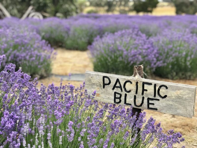 From Penneshaw: Kangaroo Island Shore Excursion Tasting Tour - Who Will Love This Tour?