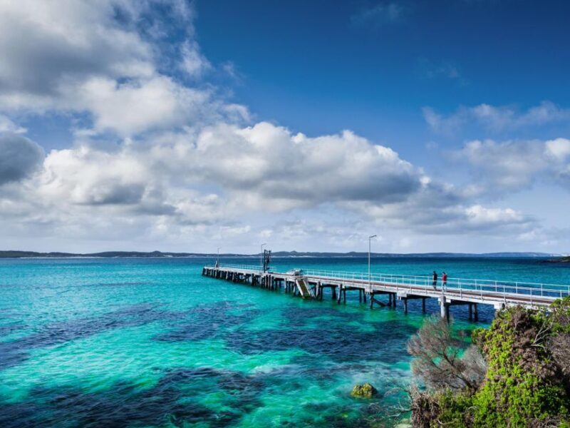 From Penneshaw: Kangaroo Island Sights and Wildlife Tour - Key Points